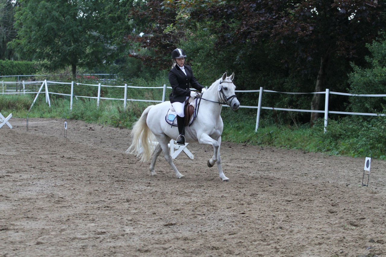 Bild 387 - WBO-Turnier am 18.9.11